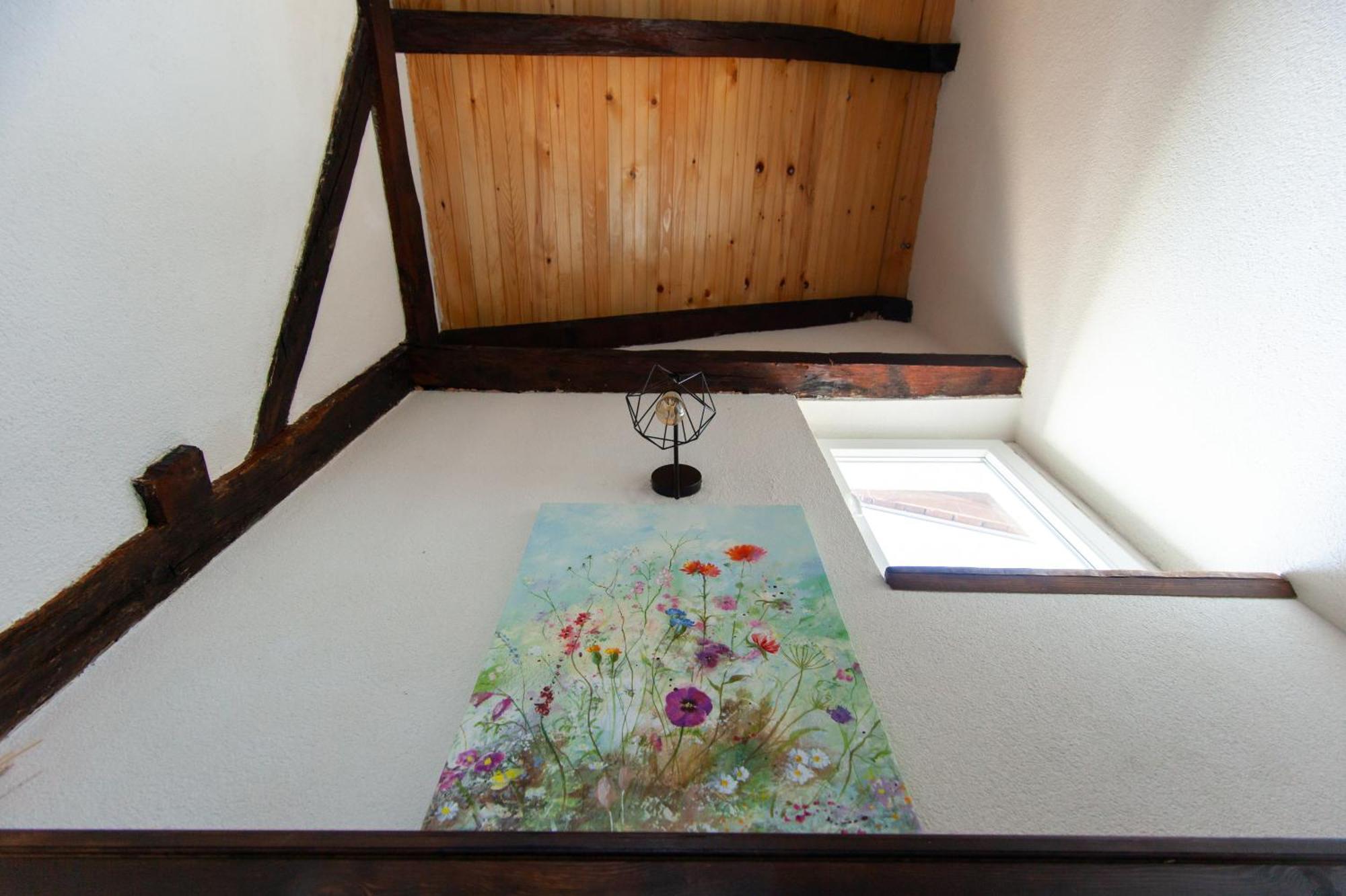 Sobe App Moj Hir Bed And Breakfast 자스트레바르스코 외부 사진